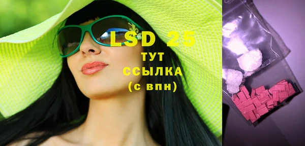 индика Иннополис