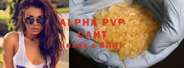 индика Иннополис