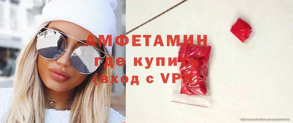 индика Иннополис