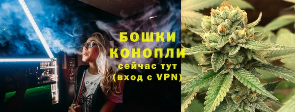 индика Иннополис