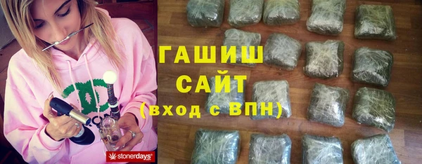 индика Иннополис