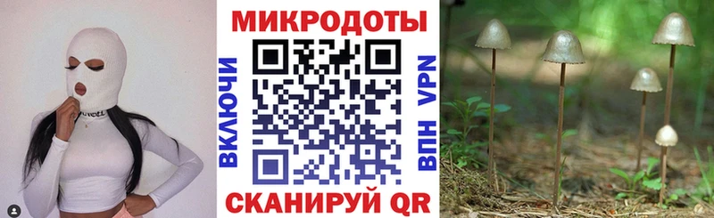 Галлюциногенные грибы прущие грибы  Купить где  Губкинский 