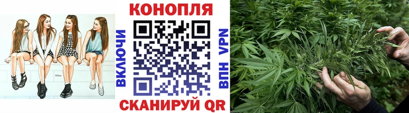 Шишки марихуана конопля Губкинский